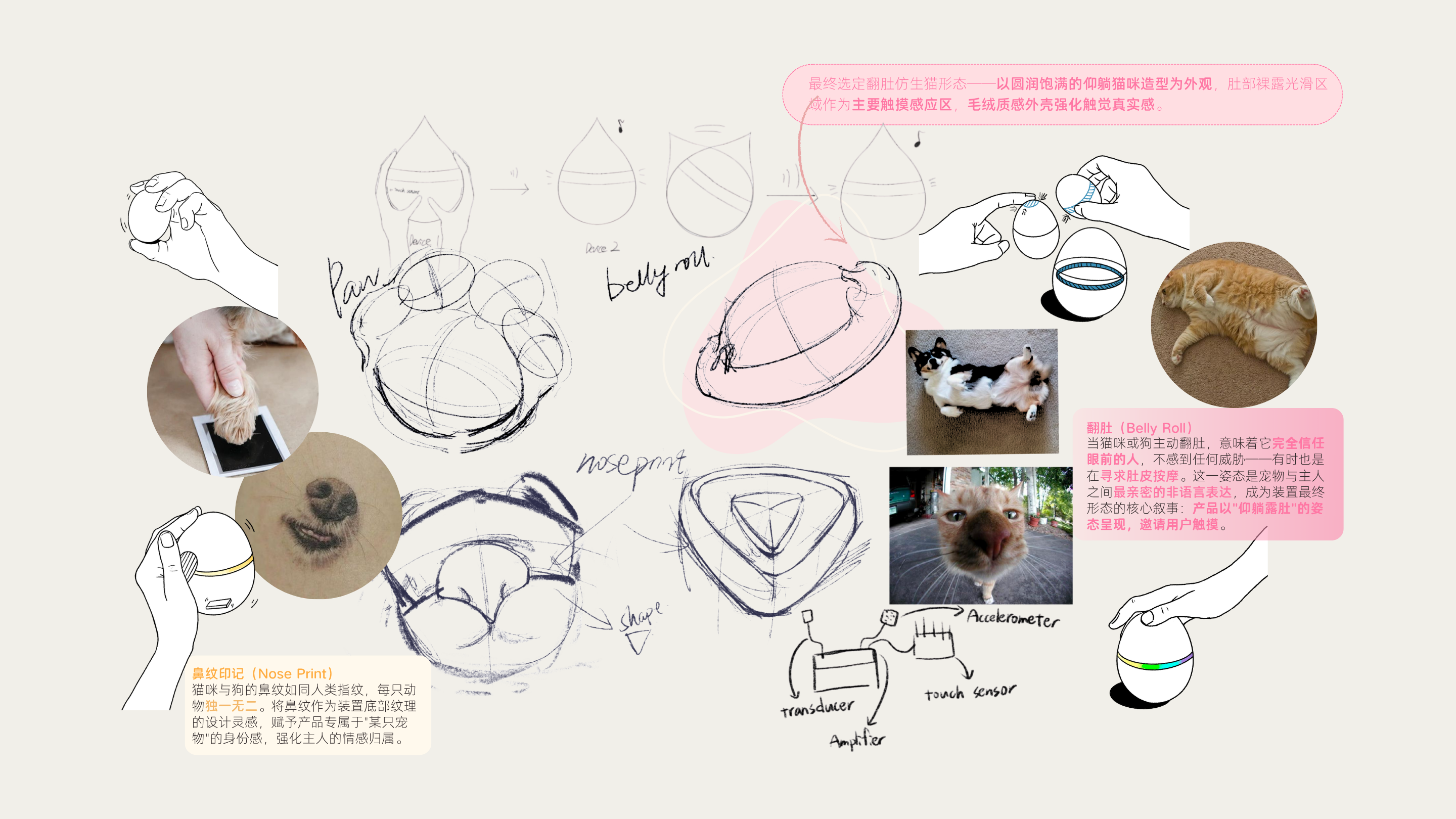 BellyRub Form development 1